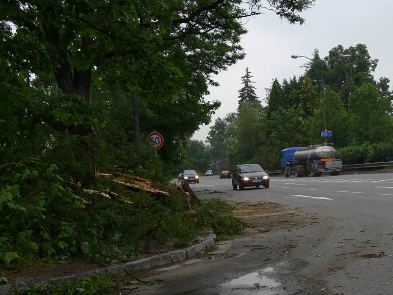 Spadlé větve v Litomyšli