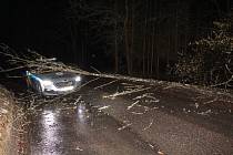 Strom padající na auto policistů u Brněnce
