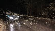 Strom padající na auto policistů u Brněnce
