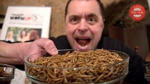 Jaroslav Němec z Bystrého je držitelem nového světového rekordu. Během půl hodiny snědl skoro 10 tisíc sušených červů.