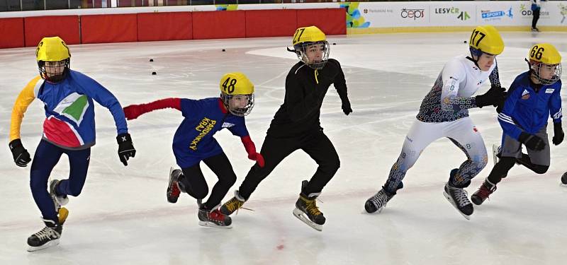 Hry VIII. zimní olympiády dětí a mládeže 2018