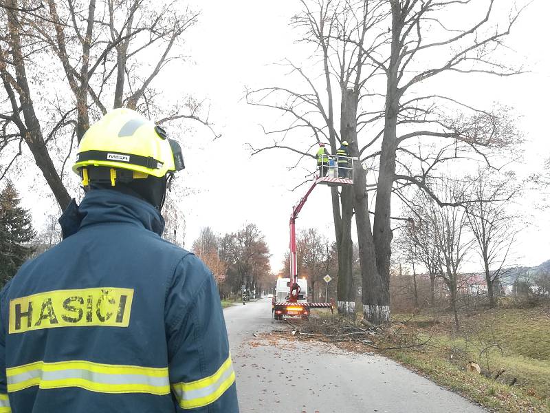 Kácení lípy v havarijním stavu ve Svitavské ulici naproti hospodě U Komína vloni v prosinci.