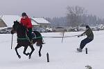 Jezdci na koních a lyžaři se sešli v Janově při horseskijöringu