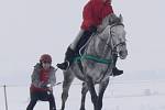 Jezdci na koních a lyžaři se sešli v Janově při horseskijöringu