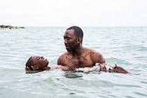 Film Moonlight.