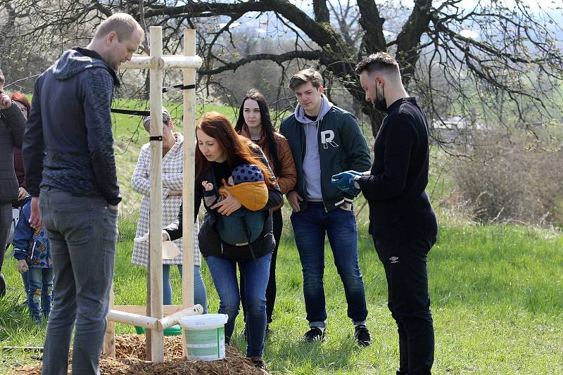 Čtyři desítky rodin si zasázely Stromy života pro Litomyšlata.