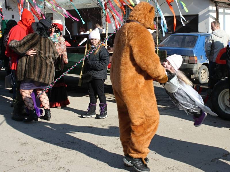 Maškary, živá kapela, všeobecné veselí. To vše bylo k vidění v sobotu 7. února ve Vítějevsi. Nechyběla ani tradiční poprava kobyly, která však díky medicíně pana starosty opět ožila. Mohla tak společně s ostatními začít hodovat. 