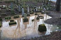 Židovský hřbitov v Litomyšli byl po letech jednání na začátku letošního ledna prohlášen kulturní památkou.