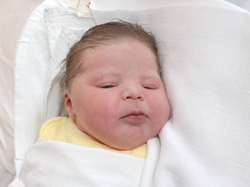 ELIŠKA ŠEJNOHOVÁ. Narodila se 2. února Evě a Pavlovi z Brna.            Měřila 51 centimetrů a vážila 3,8 kilogramu. 