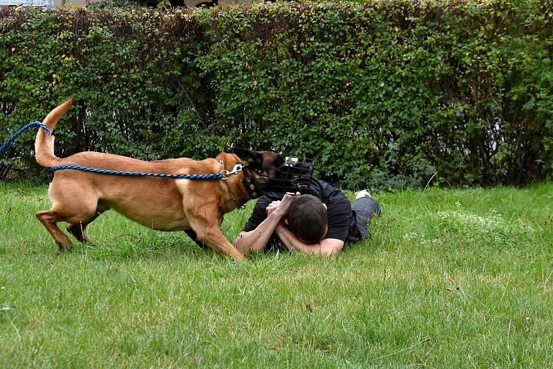 Střelba a zásah policejních psů v Dolním Újezdu