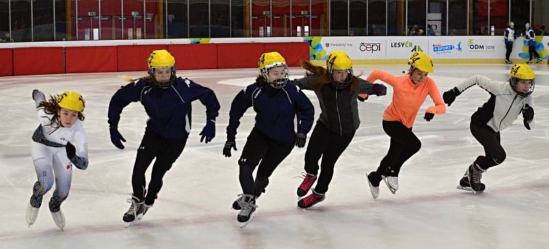 Hry VIII. zimní olympiády dětí a mládeže 2018