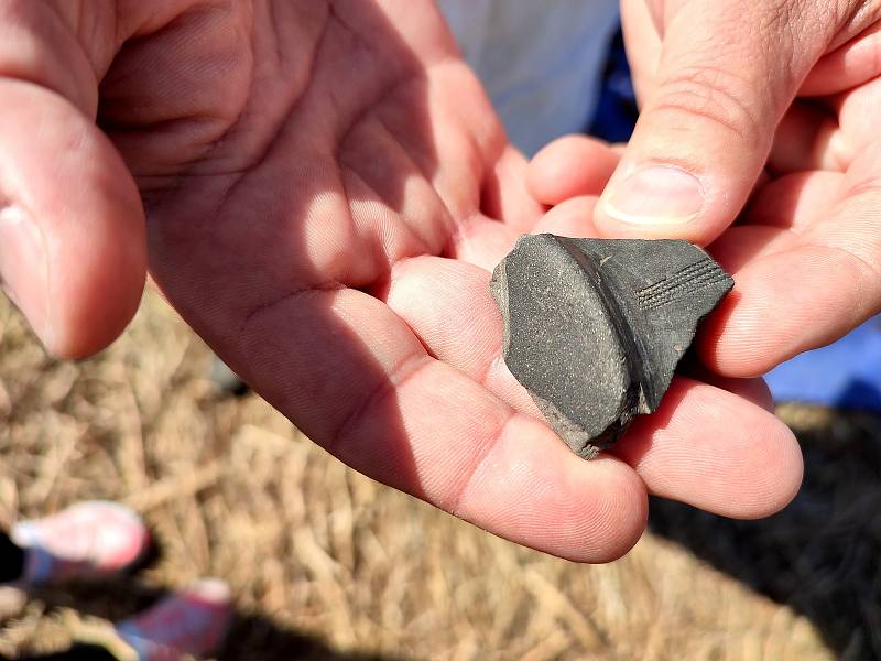 Archeologové pracují v Jevíčku na poli už čtvrtým rokem. Nalezli úlomky keramiky, zbytky zubů a hlavně řadu obytných i výrobních objektů zahloubených v zemi.