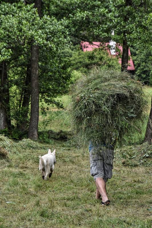 LOUKY v Pusté Rybné se musí sekat s citem, rostou tady totiž vzácné druhy rostlin.