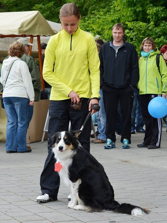 SVÁTEK kvetoucích rododendronů si v sobotu ve Svitavách nenechaly ujít stovky lidí. Návštěvníci fandili také favoritům Voříškijády. Při přehlídce se bylo na co dívat. Nejsympatičtější psi získali mimo jiné i pořádný věnec z buřtů.