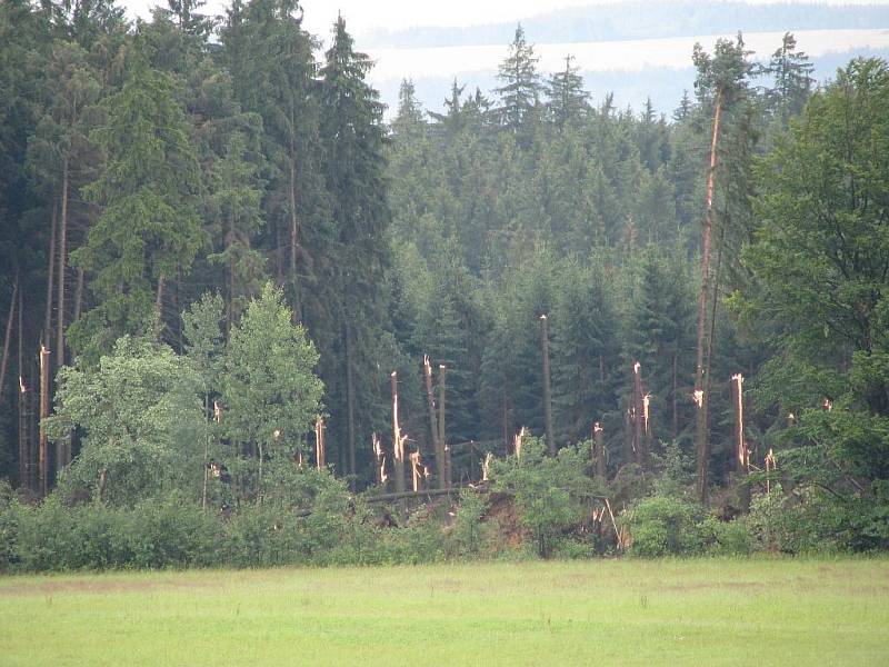 Následky deště v lesích v okolí Javorníku.