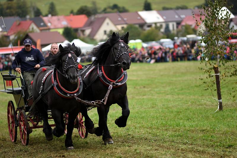 Tradiční Formanský den v Borové u Poličky.