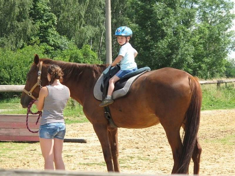 Koně v Janově pomáhají i postiženým dětem