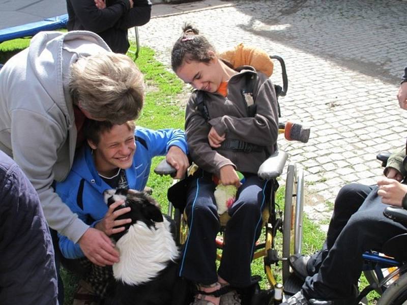 Koně v Janově pomáhají i postiženým dětem