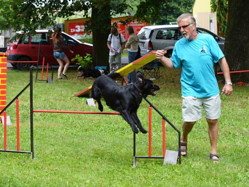 AGILITY je zábavný sport pro psy a jejich pány. Moravskotřebovský klub si v sobotu užil pěkné odpoledne.