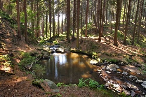 Kupadla v Maštalích