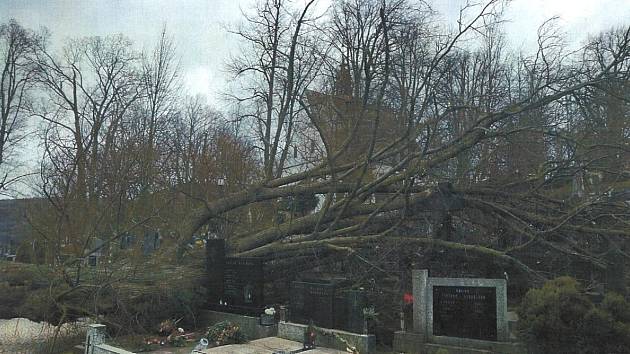 Vichřice pokácela na hřbitově v Moravské Třebové dva stromy, které zničily pět hrobů.