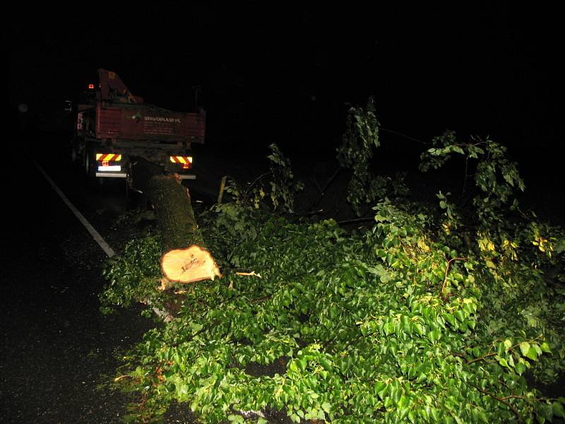 Strom na silnici mezi Mikulčí a Javorníkem bránil dopravě