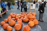 Svitavské náměstí se ve středu odpoledne proměnilo v halloweenskou dílnu. Děti vydlabávaly dýně.  