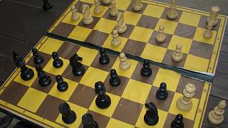 Příběh šachisty, který se nikdy nevzdává - Svitavský deník