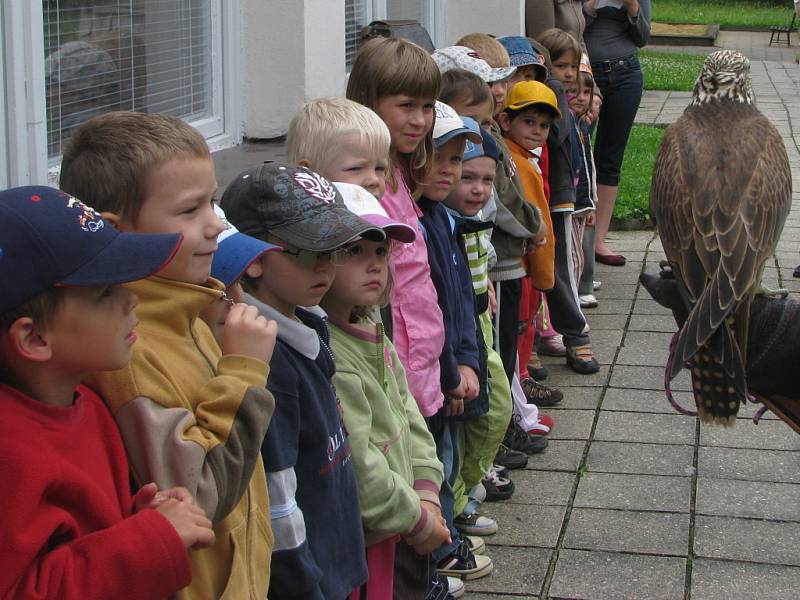 Děti v mateřské školce M. Majerové navštívili dravci a lovecký pes