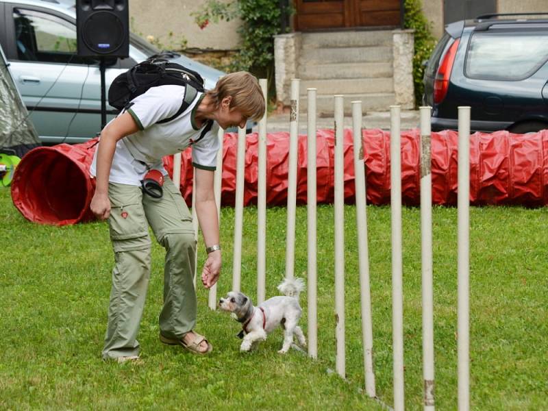 AGILITY je zábavný sport pro psy a jejich pány. Moravskotřebovský klub si v sobotu užil pěkné odpoledne.