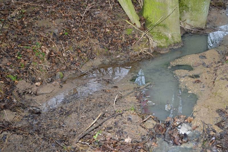 Pramen potoka v Morašicích kalí špinavá voda.