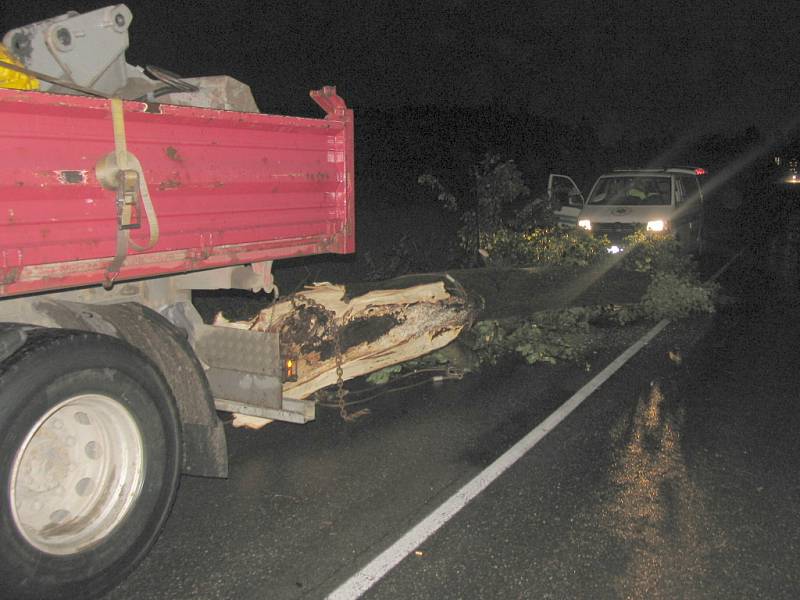 Strom na silnici při vichřici