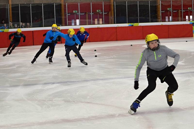 Hry VIII. zimní olympiády dětí a mládeže 2018