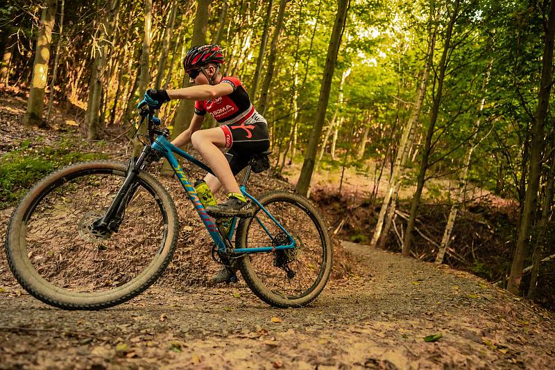 Moravská Třebová vybudovala v lesích pod rozhlednou Pastýřka 13 kilometrů tratí pro cyklisty.