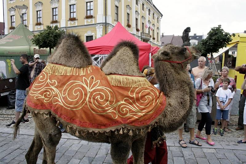 Průvod královské družiny vedl z parku, přes nábřeží a pompézně se dostavil až na náměstí.