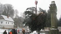 Vánoční strom putoval z Třebařova do Moravské Třebové. Dvanáctimetrový smrk pichlavý rozsvítí Moravskotřebovští v první adventní neděli