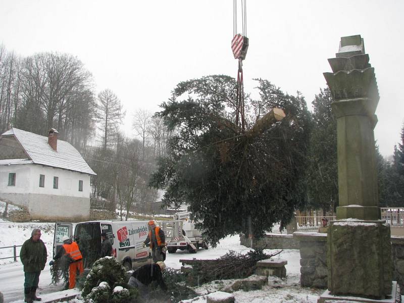 Vánoční strom putoval z Třebařova do Moravské Třebové. Dvanáctimetrový smrk pichlavý rozsvítí Moravskotřebovští v první adventní neděli