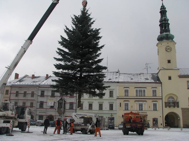 Vánoční strom putoval z Třebařova do Moravské Třebové. Dvanáctimetrový smrk pichlavý rozsvítí Moravskotřebovští v první adventní neděli