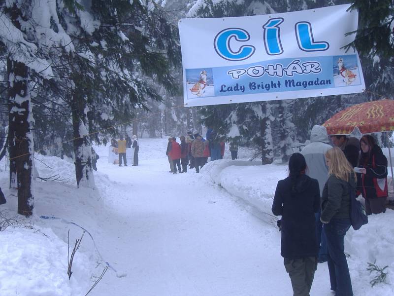 Závody psích spřežení. Pohár Lady Brigith Magadan 2009.