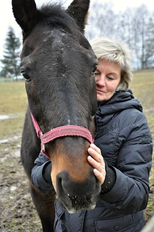 Jitka Jandlová s koněm