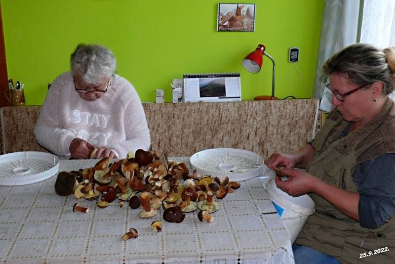 Houbaření je velkým koníčkem pana Jana Hendrycha z Morašic.