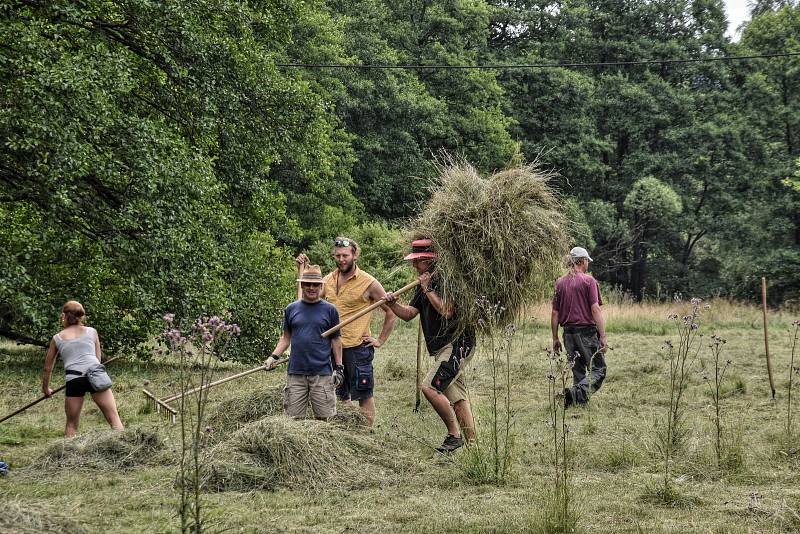 LOUKY v Pusté Rybné se musí sekat s citem, rostou tady totiž vzácné druhy rostlin.