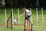 Agility na Rybním náměstí.