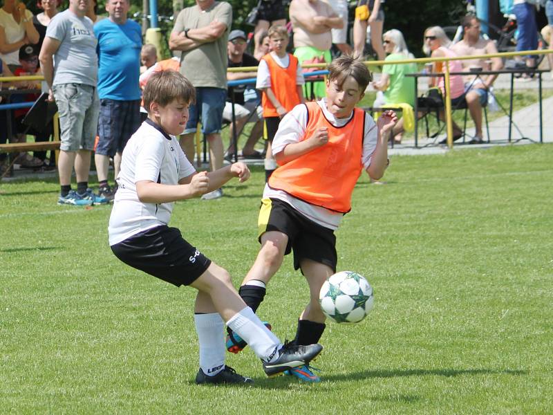 Boje starších přípravek o pohárovou trofej.