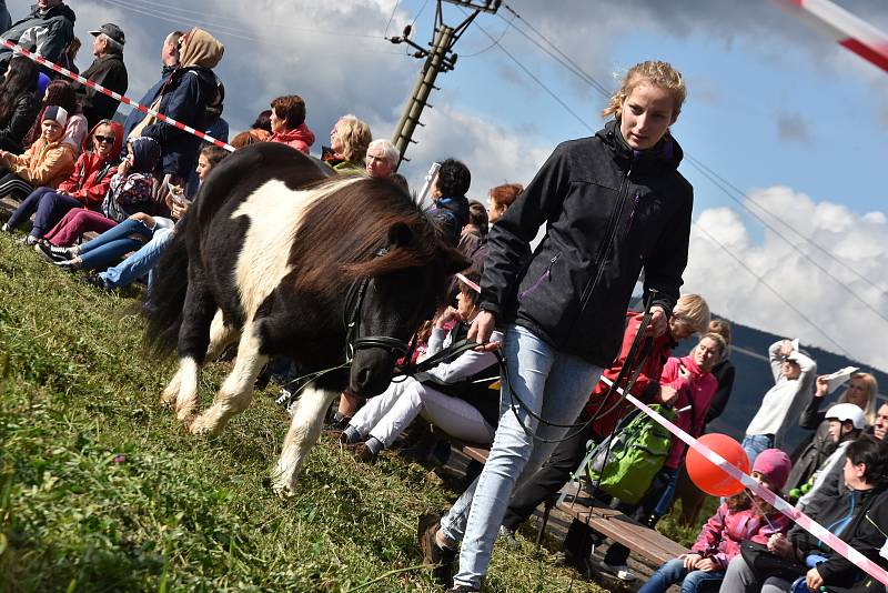 3. ročník oblastní přehlídky koní na festivalu Biskupické kaléšek v Biskupicích u Jevíčka. Divákům se představilo 20 koní.