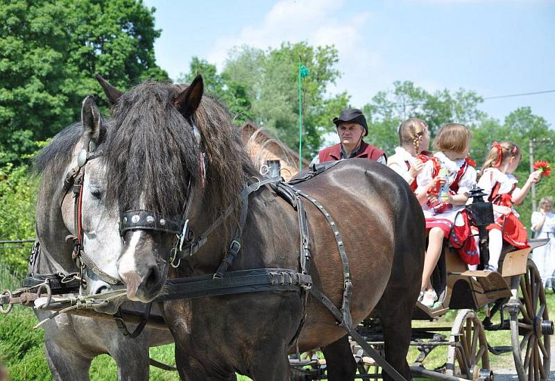 Slavnostní kácení máje se v Benátkách koná už od roku 1988.