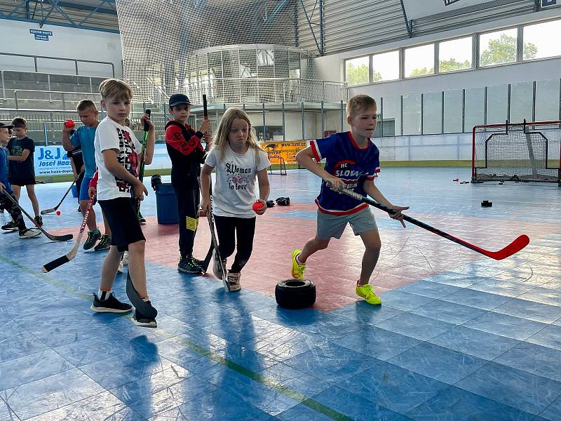 Děti ze základních škol v Moravské Třebové si vyzkoušely různé sporty.