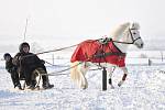 V Janově si dali dostaveníčko vyznavači horseskijöringu.