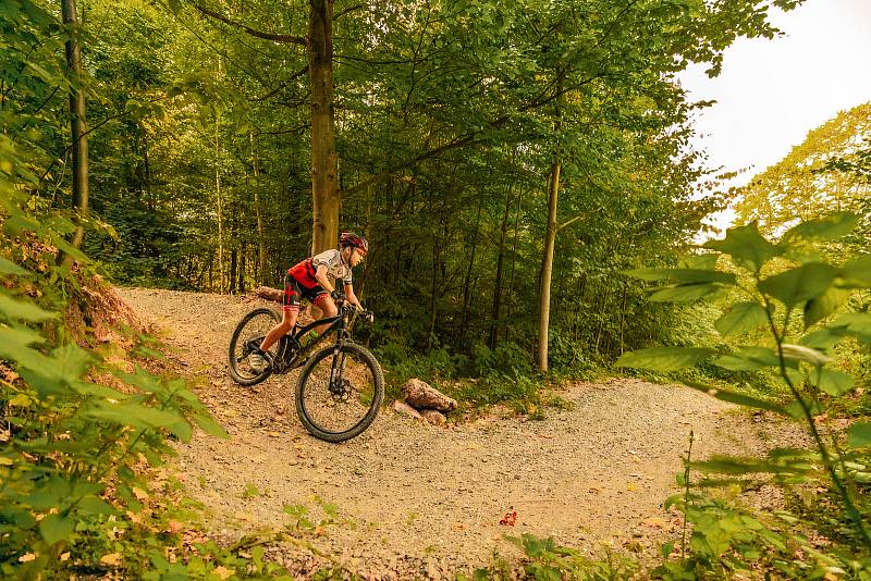 Moravská Třebová vybudovala v lesích pod rozhlednou Pastýřka 13 kilometrů tratí pro cyklisty.