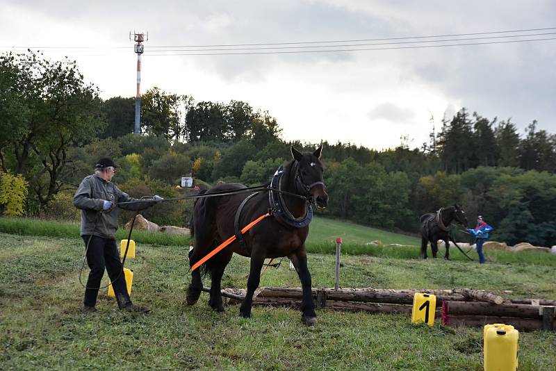 3. ročník oblastní přehlídky koní na festivalu Biskupické kaléšek v Biskupicích u Jevíčka. Divákům se představilo 20 koní.